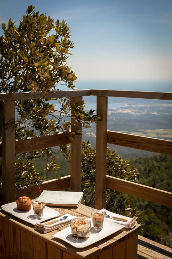 SantiLaurini.com Gallery