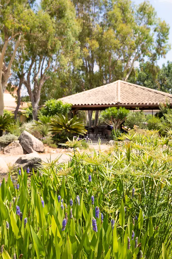 SantiLaurini.com Gallery