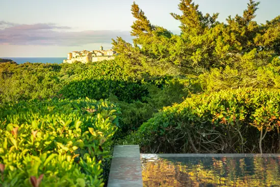 SantiLaurini.com Gallery