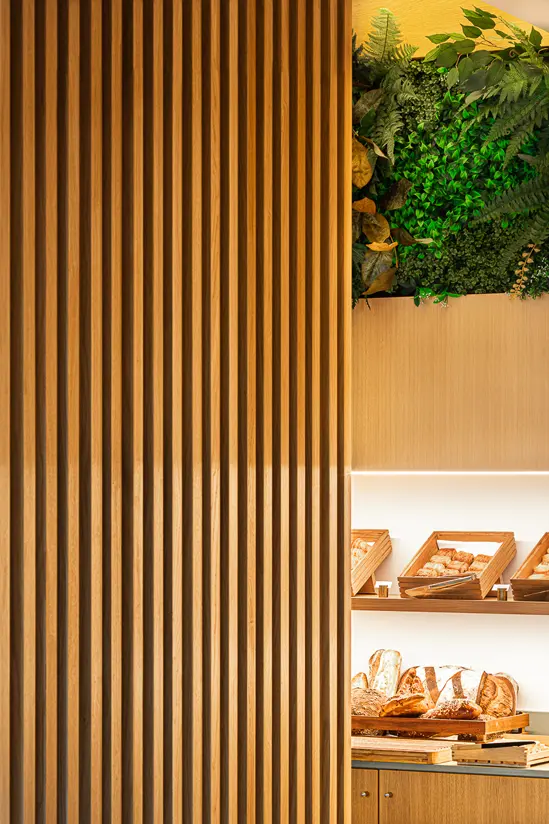 SantiLaurini.com Gallery