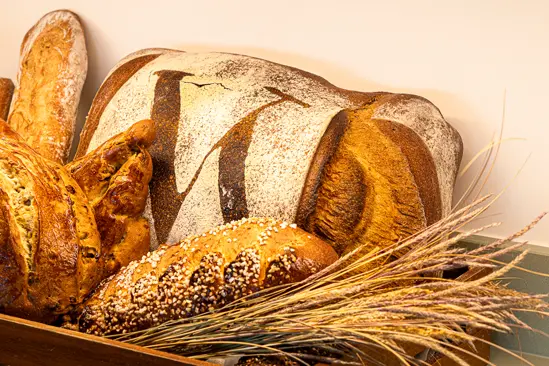 SantiLaurini.com Gallery