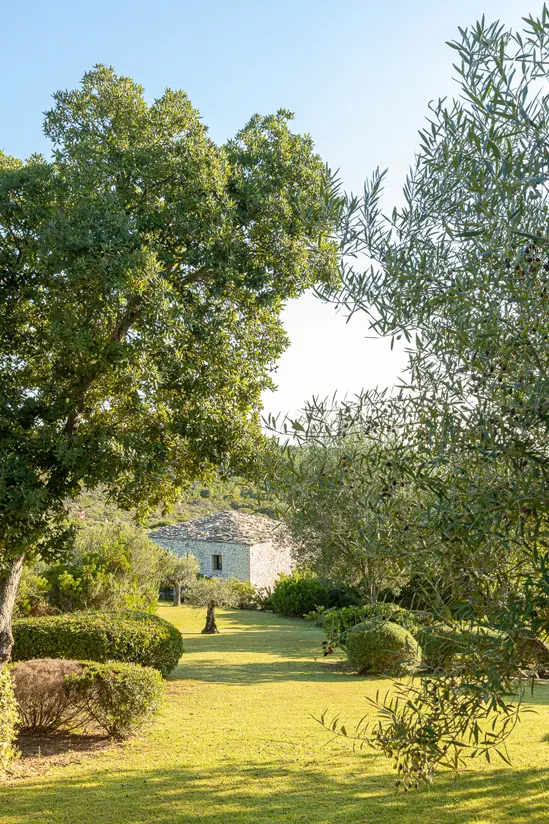 SantiLaurini.com Gallery