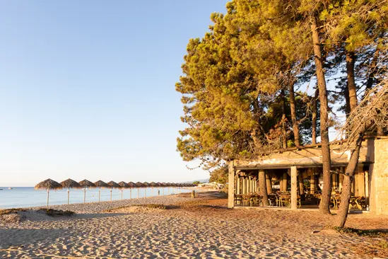 SantiLaurini.com Gallery