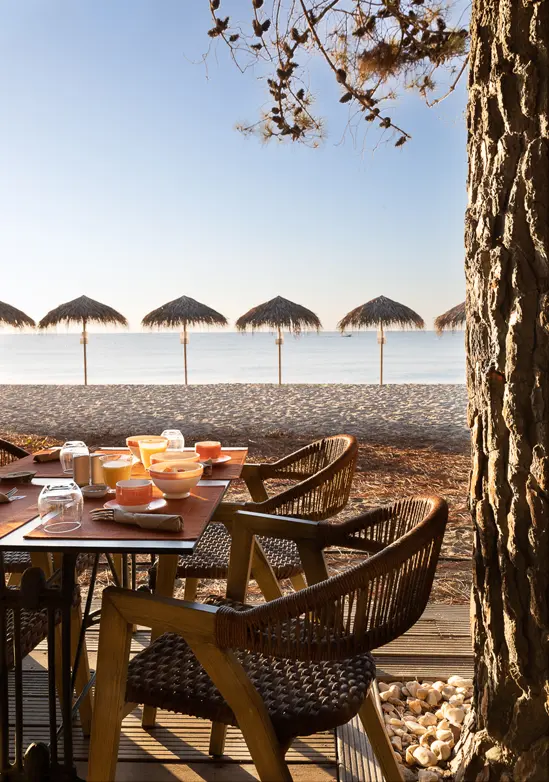 SantiLaurini.com Gallery