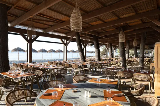 SantiLaurini.com Gallery