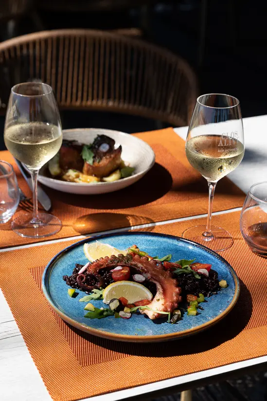 SantiLaurini.com Gallery