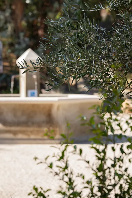 SantiLaurini.com Gallery