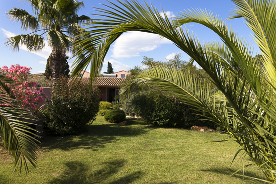 SantiLaurini.com Gallery