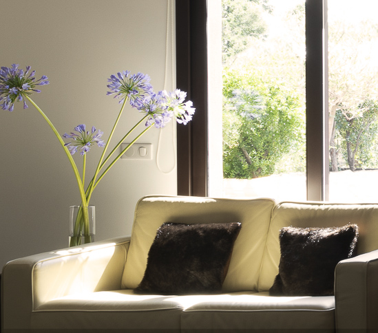 SantiLaurini.com Gallery