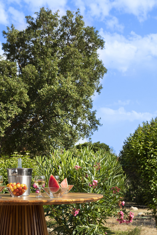 SantiLaurini.com Gallery