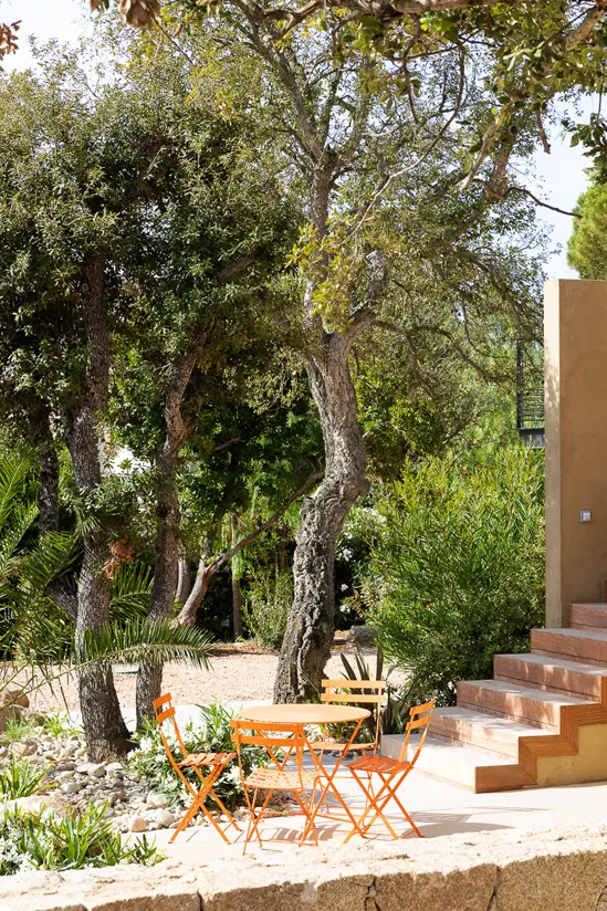 SantiLaurini.com Gallery