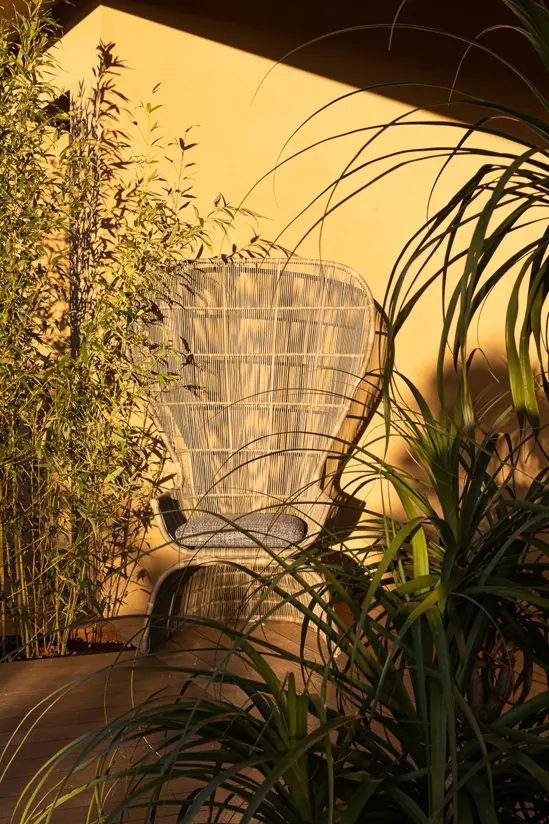 SantiLaurini.com Gallery