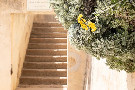 SantiLaurini.com Gallery