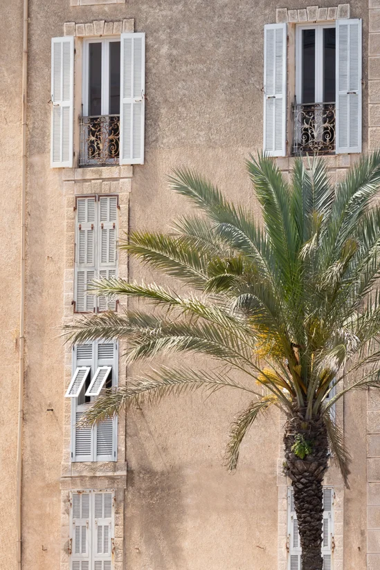 SantiLaurini.com Gallery