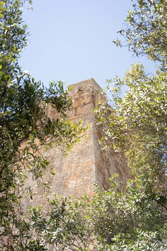 SantiLaurini.com Gallery