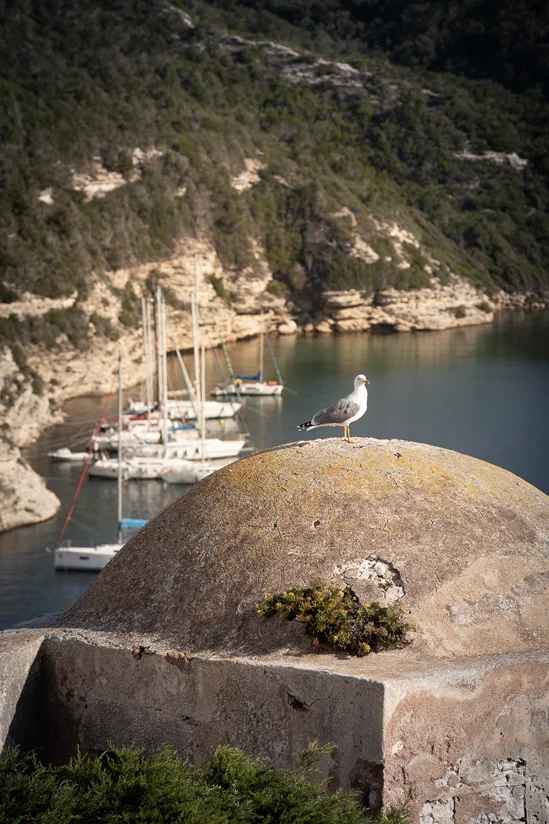 SantiLaurini.com Gallery