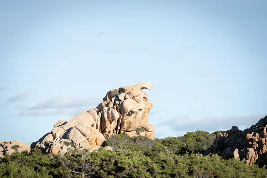 SantiLaurini.com Gallery