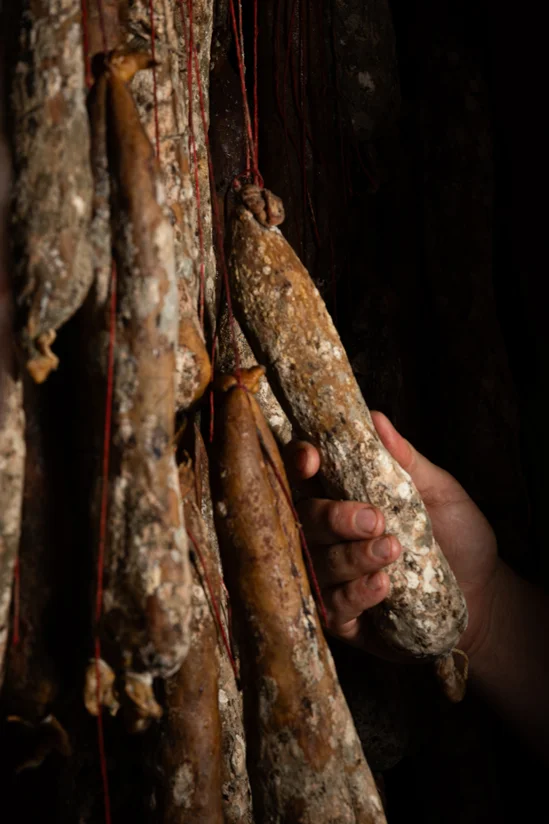 SantiLaurini.com Gallery