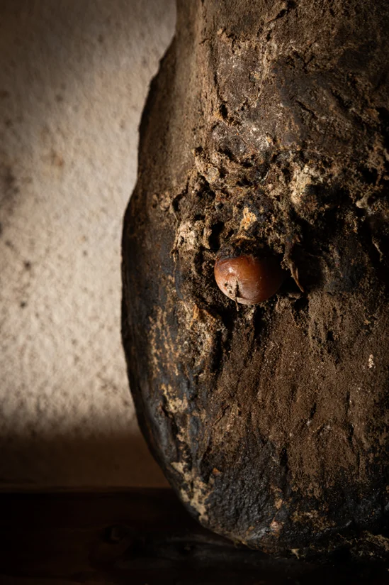 SantiLaurini.com Gallery