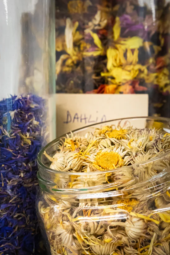 SantiLaurini.com Gallery