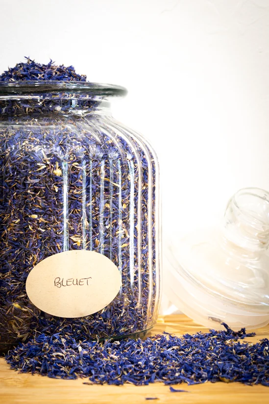 SantiLaurini.com Gallery