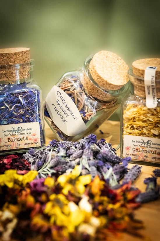 SantiLaurini.com Gallery