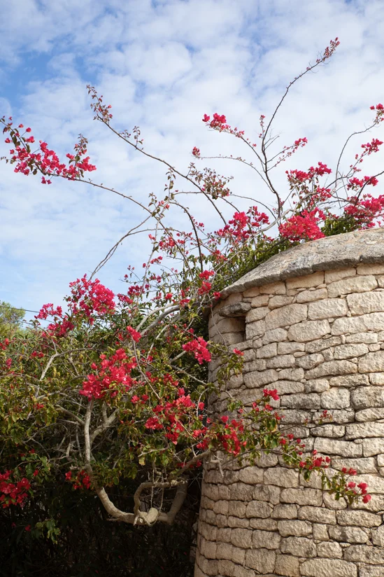 SantiLaurini.com Gallery