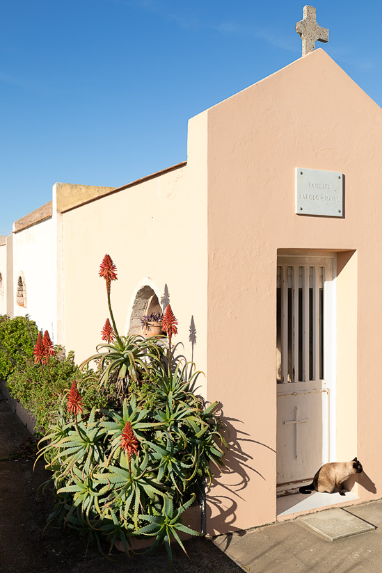 SantiLaurini.com Gallery