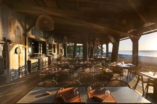 SantiLaurini.com Gallery