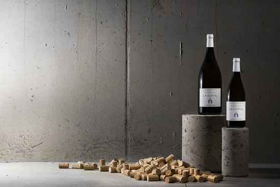 SantiLaurini.com Gallery